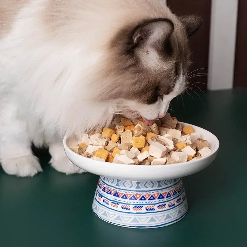 Ceramic Bohemian Raised Cat and Small Dog Water Bowl