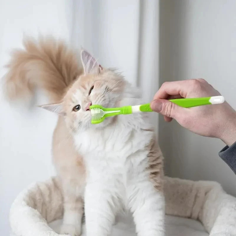 YTYIN Pet Toothbrush Kit 3-Head Dog Cat Dental Care