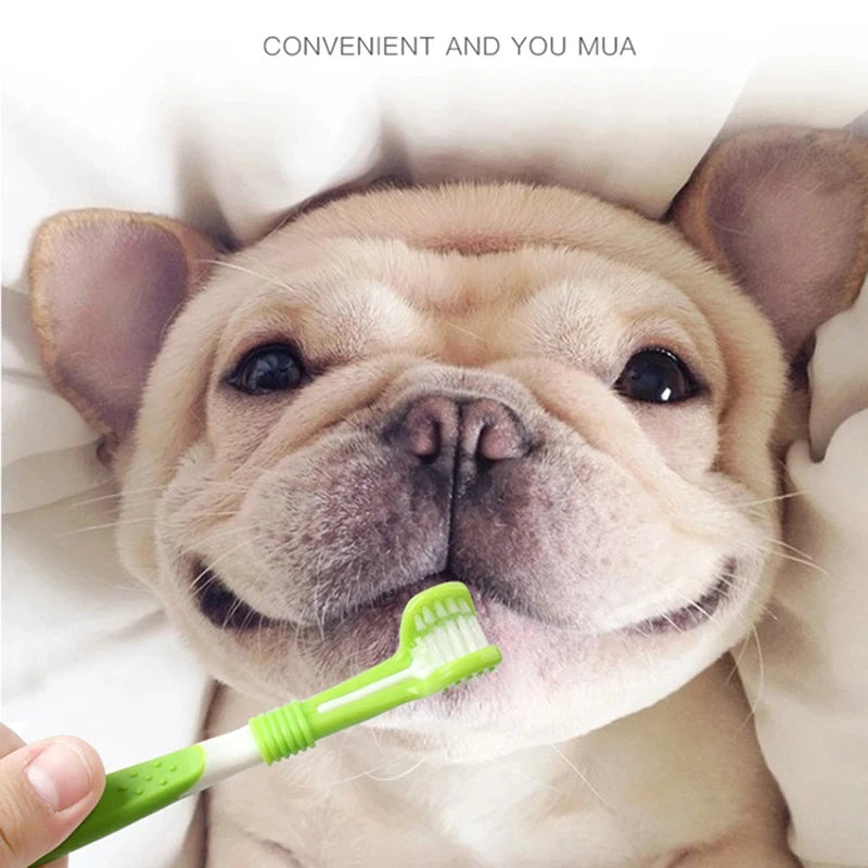 YTYIN Pet Toothbrush Kit 3-Head Dog Cat Dental Care